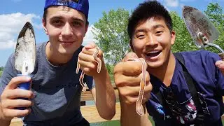 FIND YOUR OWN LIVE BAIT FISHING CHALLENGE! (Surprising Results)