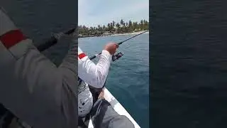 MAXX lure 60s RENBOW vs tongkol🎣🐟