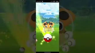 Shiny Ledyba wild encounter spotlight hour. #shorts #pokemongo #shiny #ace