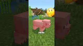 You Can Name Mobs After Items #minecraft