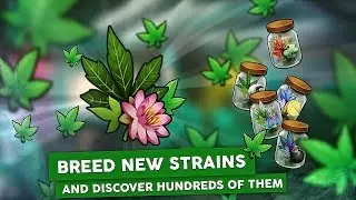 Hempire - Android Gameplay