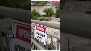 Es FALSO su inter&eacute;s por la ecolog&iacute;a.