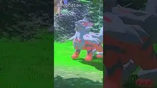 Hisuian Arcanine