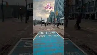 GTA Toronto Canada #gta #toronto #ontario #canada #reels #shorts