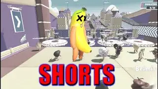 Hack tombo nois, Bro falls #Short
