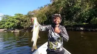 Fishing trip in Guanabara Bay. WhatsApp 21991835049