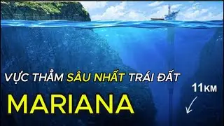 VỰC THẲM MARIANA – NƠI SÂU NHẤT TRÁI ĐẤT VÀ SỰ SỐNG KHÔNG NÊN TỒN TẠI #matmathiennhien #mariana