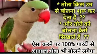 Parrot kab se bolna start karte hain | Tote Ke Bacche ko Bolna kaise Sikhate hain