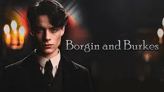 Borgin and Burkes Tom Riddle sells you dark artefacts asmr.