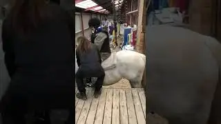 Langes&oslash;. Egnens rideklub Lave til handicappede b&oslash;rn￼