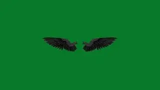 Green Screen Angel and Demon Wings video effects in 4K Resulution