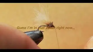 BWO`s, small emergers and similar small patterns