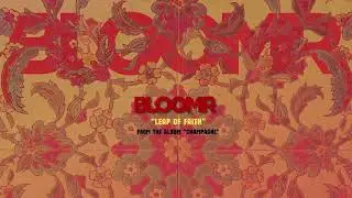 BLOOMR - Leap Of Faith (Official Visualizer)