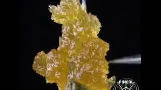 Cherry Diesel Terp Sauce - Pineal Products