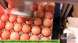 BestCode High Speed Traverse Egg Coding