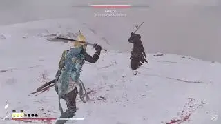 Beating Takezo on Lethal Mode