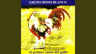 El Camotal