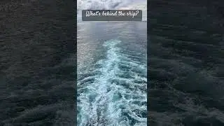The wake behind a cruise ship is mesmerizing!