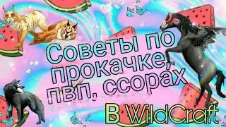🍀СОВЕТЫ🍀 по ПРОКАЧКЕ🌹, ПВП🔫 И ССОРАХ🔥