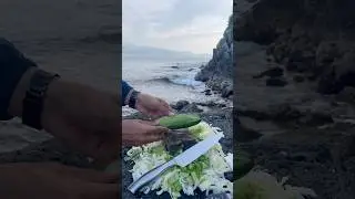 Best Knife for Slicing Cucumbers