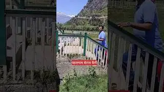 #pahalgam #kashmir #betabvalley #hindisong #janamejaimaurya