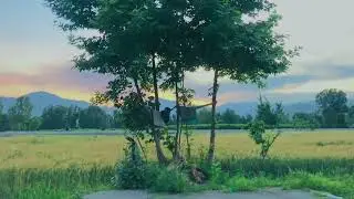 Swat Khwazakhela bypass swat
