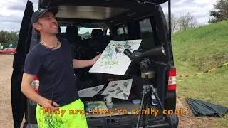 Wildlife artist Darren Woodhead paints the bee-eaters