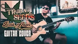 Dark Angel - Tribal Seeds (Acoustic Guitar Cover)