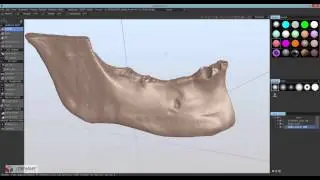 Mandible segmentation with teeth and soft tissues