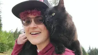 3 months microdosing T ~ nonbinary transition