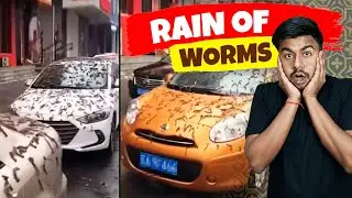 Worm Rain in CHINA | क्या है असलियत? #wefacts #wef #wideeyefacts #china