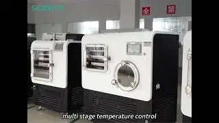 Trusted Freeze Dryer Manufacturer for You