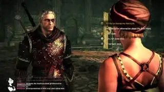 Witcher 2's best kept secret