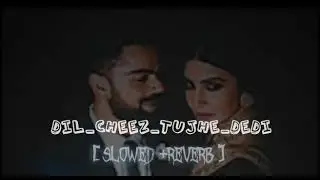 Dil_Cheez_Tujhe_Dedi[ slowed +reverb song|virat and anushka