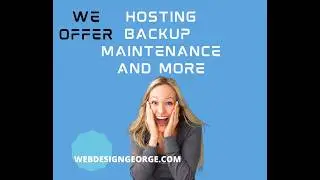 Web Design Services In Tampa Bay