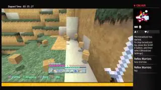 Minecraft Ps4 W/LocoLaRoco