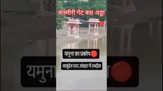 Flood Yamuna Today Yamuna Mission Clean-Up Update #flood #yamuna  @delhikagourav