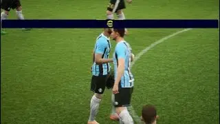 Gremio e Minas Gerais