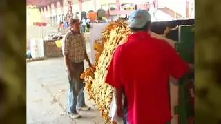 DVD 2: 2 - Tobacco Baler Safety
