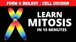 F4 C6 Биология: узнайте секреты митоза за 15 минут! (3 из 6)
