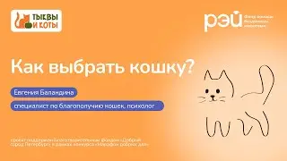 How to choose a cat?
