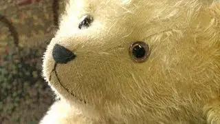 Una enfermera de osos antiguos