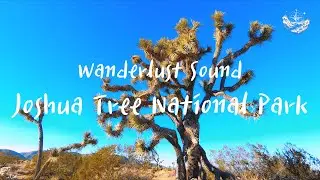 Wanderlust Sound - 1 hour of quiet and relaxation piano music at desert🏜️ stress control music