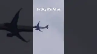 Wings Up Worries Down | #airplane #sky #wingsup #ytshorts #letusfly