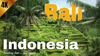 🇮🇩 Bali Walking Tour 4K | World's Top Travel Destination | Indonesian Nature & Streets | Chill music
