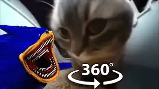 360&deg; VR Shin Sonic Tapes - Chipi Chipi Chapa Chapa