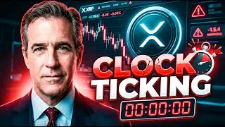 XRP NEWS TODAY :Why the Fed Pause Could Cost You More