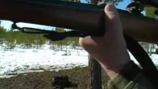 QuickShooter video - short version