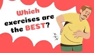 How to Know Which Back Exercises are BEST for YOU