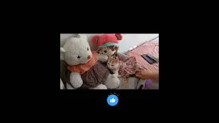 Fandogh&rsquo;s plushy paradise: Just her, her toys, and a nap that feels like love#cat #گربه #kitten